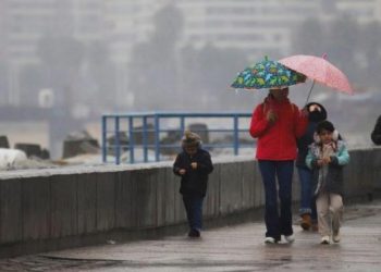 El éxito de prohibir las bolsas plásticas no basta
