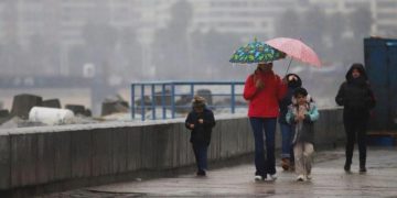 El éxito de prohibir las bolsas plásticas no basta
