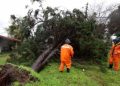 Recomendaciones para enfrentar el invierno y cuidar la salud familiar