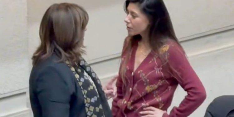 Siguen repercusiones tras discusión entre senadoras PS Vodanovic y Cicardini en el Senado
