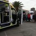 No hay homicidio vial: el vacío legal que podría dejar sin pena efectiva al conductor del atropello en Viña del Mar