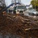 Cierre de tránsito y preparativos para retirar pasarela Yolanda ante riesgo de colapso en medio de sistema frontal