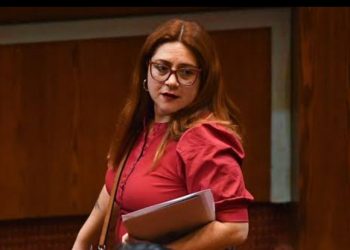 Hospital de Llay Llay: diputada Bello solicita fiscalización tras inundaciones provocadas por sistema frontal