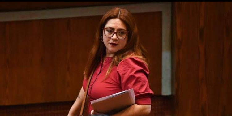 Hospital de Llay Llay: diputada Bello solicita fiscalización tras inundaciones provocadas por sistema frontal