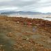 Decretan alerta sanitaria en Coquimbo y Atacama por personas expuestas a aguas servidas, barro y escombros