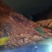 El territorio tiene memoria: lo que las inundaciones de Coquimbo nos están mostrando