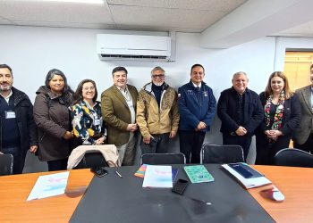 Acerca de la Investigación en Chile