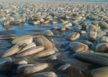 La vuelta del agua a la tierra