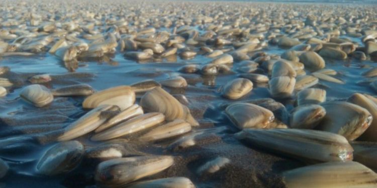 La vuelta del agua a la tierra