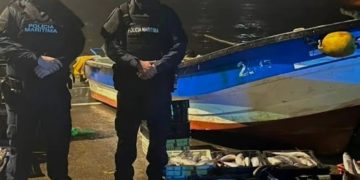 Pescadores industriales del Bío Bío presentan querellas por robo de 3 toneladas de jurel