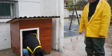 Crece tendencia de gimnasios como lugar para compartir en comunidad, junto al entrenamiento