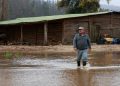 Gobierno declara emergencia agrícola en La Araucanía por daños provocados por el sistema frontal