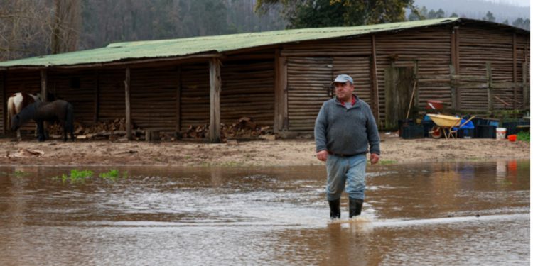Gobierno declara emergencia agrícola en La Araucanía por daños provocados por el sistema frontal