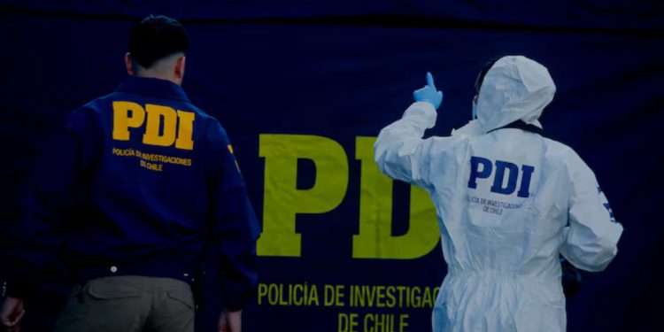 ¿Ha servido la norma “no más bolsas plásticas”?
