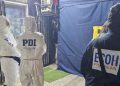 La escolarización prematura versus la pérdida del juego