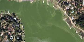 Contraloría ordena reforzar protección del Lago Vichuquén ante su deterioro ambiental “permanente”