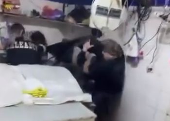 Asociación Gremial del Terminal Pesquero Metropolitano aclara información difundida tras violenta pelea registrada en el recinto