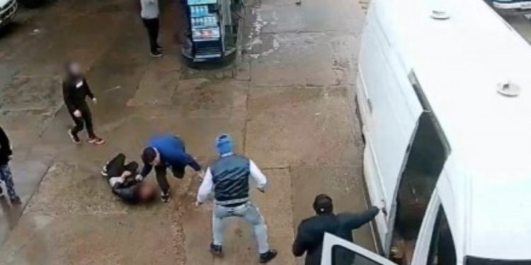 Retiran 33 mascotas desde vivienda en Reñaca por situación de riesgo sanitario