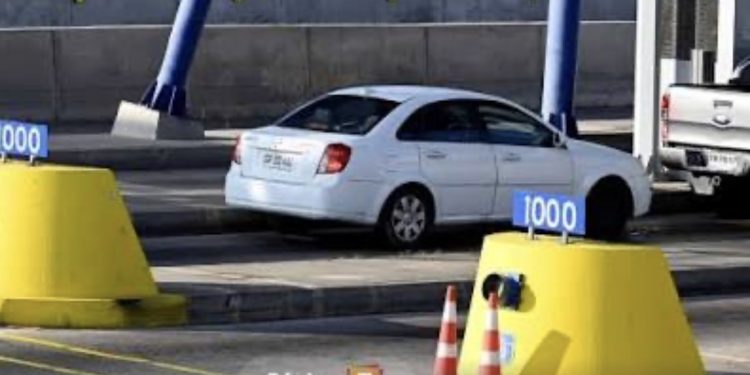 Mujer es detenida por mantener criadero ilegal de perros en Santiago