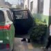 Joven de 20 años es asesinado en plena vía pública de Loncura