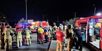 Rinitis alérgica: como enfrentar esta patología crónica que afecta al 30% de la población con la llegada de la primavera