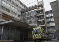 Rinitis alérgica: como enfrentar esta patología crónica que afecta al 30% de la población con la llegada de la primavera
