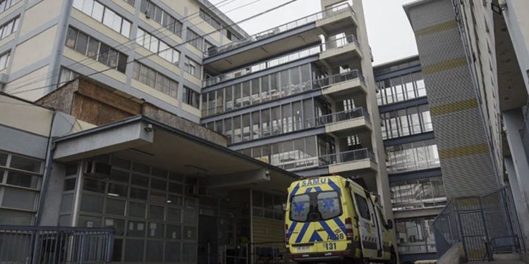 Rinitis alérgica: como enfrentar esta patología crónica que afecta al 30% de la población con la llegada de la primavera