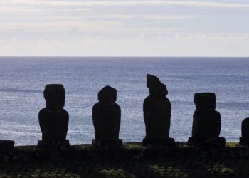Cementerios de animales y derechos fundamentales