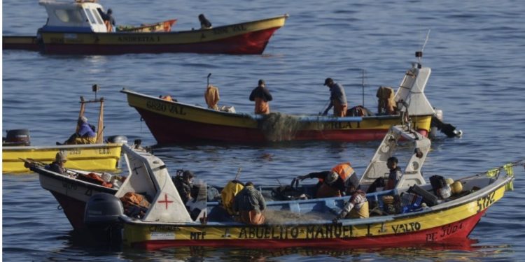 Día de las Personas Mayores: ¿En qué debe mejorar Chile para el envejecimiento saludable?
