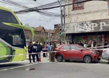 Rabia en murciélagos: especialista advierte que la vacunación de mascotas sigue siendo clave para prevenir contagios