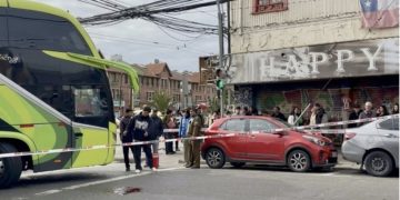 Rabia en murciélagos: especialista advierte que la vacunación de mascotas sigue siendo clave para prevenir contagios