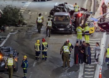 Rabia en murciélagos: especialista advierte que la vacunación de mascotas sigue siendo clave para prevenir contagios