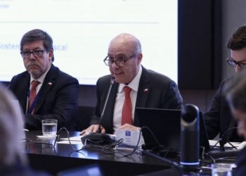 Mascotas: ¿qué hacer frente a una picadura abeja o avispa?