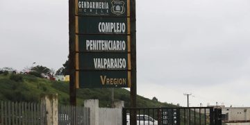 Mascotas: ¿qué hacer frente a una picadura abeja o avispa?