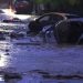 Deslizamientos de tierra: académico explica por qué las lluvias pueden provocar remociones en masa
