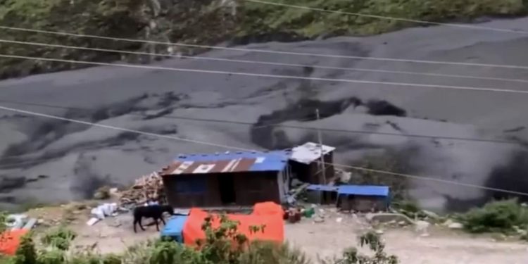 Pescador encuentra cuerpo sin vida de mujer en Cachagua