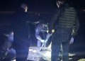 Pescador encuentra cuerpo sin vida de mujer en Cachagua