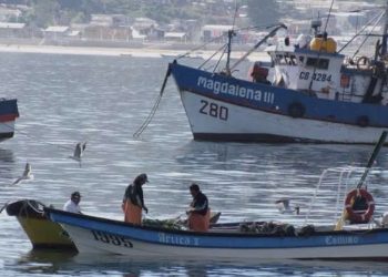 Cambio climático y fenómeno de El Niño marcan evaluación científica de pequeños pelágicos y anticipan desafíos para 2027