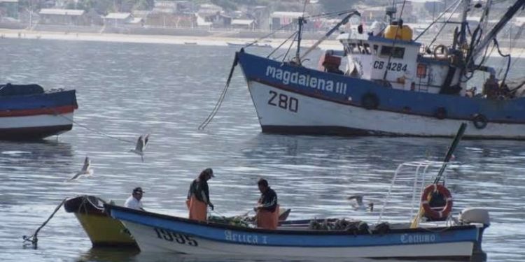 Cambio climático y fenómeno de El Niño marcan evaluación científica de pequeños pelágicos y anticipan desafíos para 2027