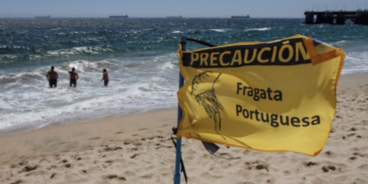 Prohíben el baño en playa de Ventanas ante la presencia de fragata portuguesa